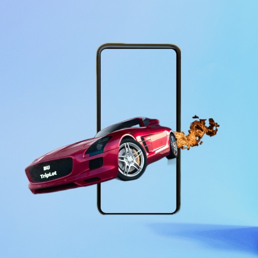project_picture